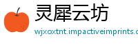 灵犀云坊